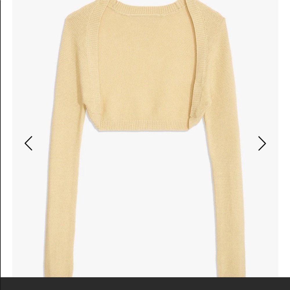 NWT WWW / Danielle Bernstein cropped sweater - taupe